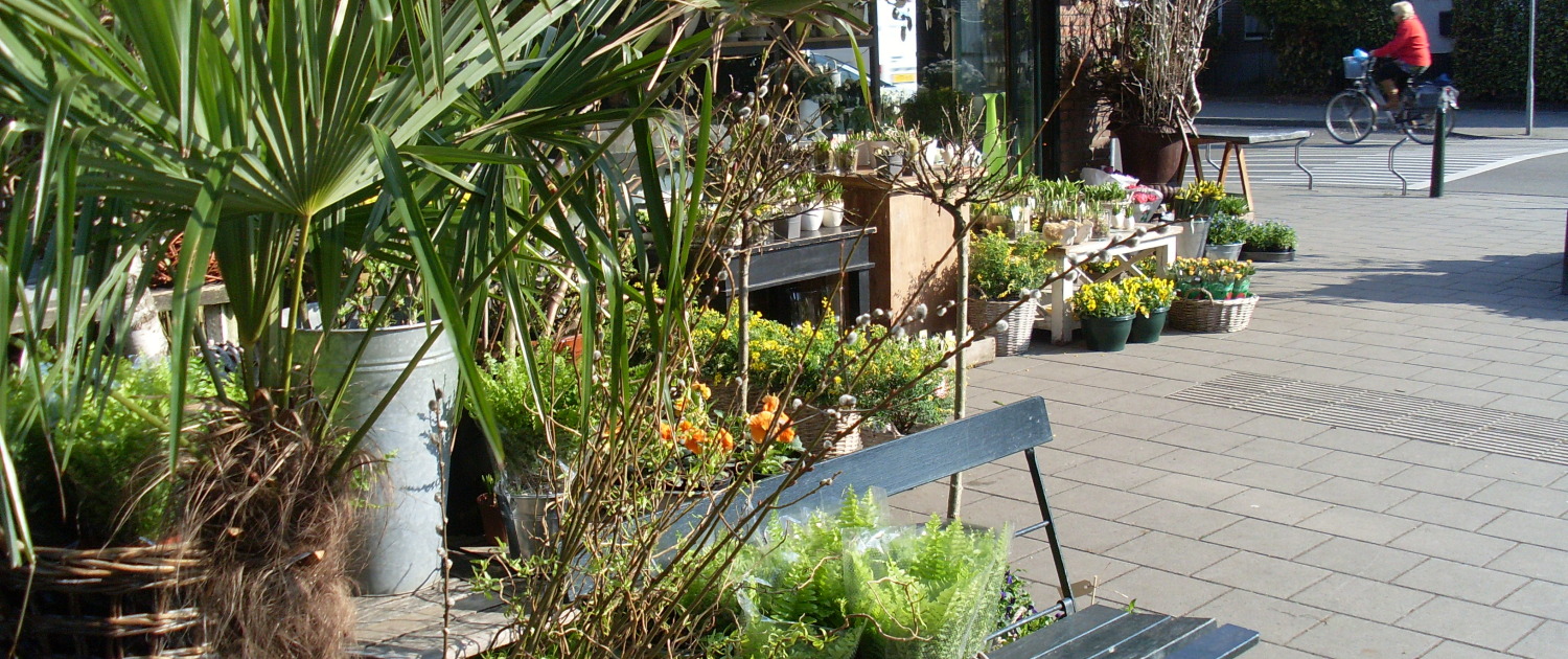 De Bloemenschoof Bussum